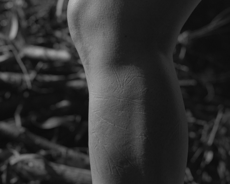Study of Traces