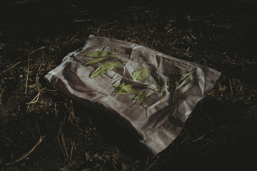 Study of Traces