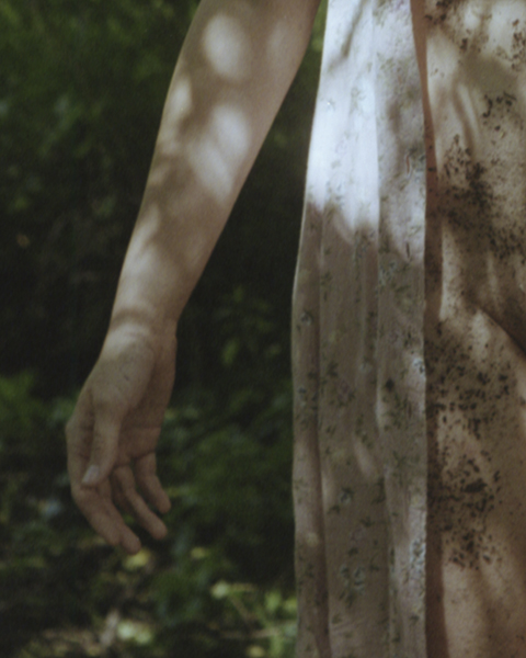 Study of Traces