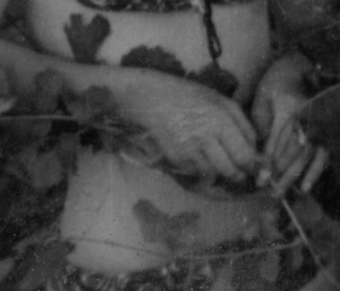 Study of Traces