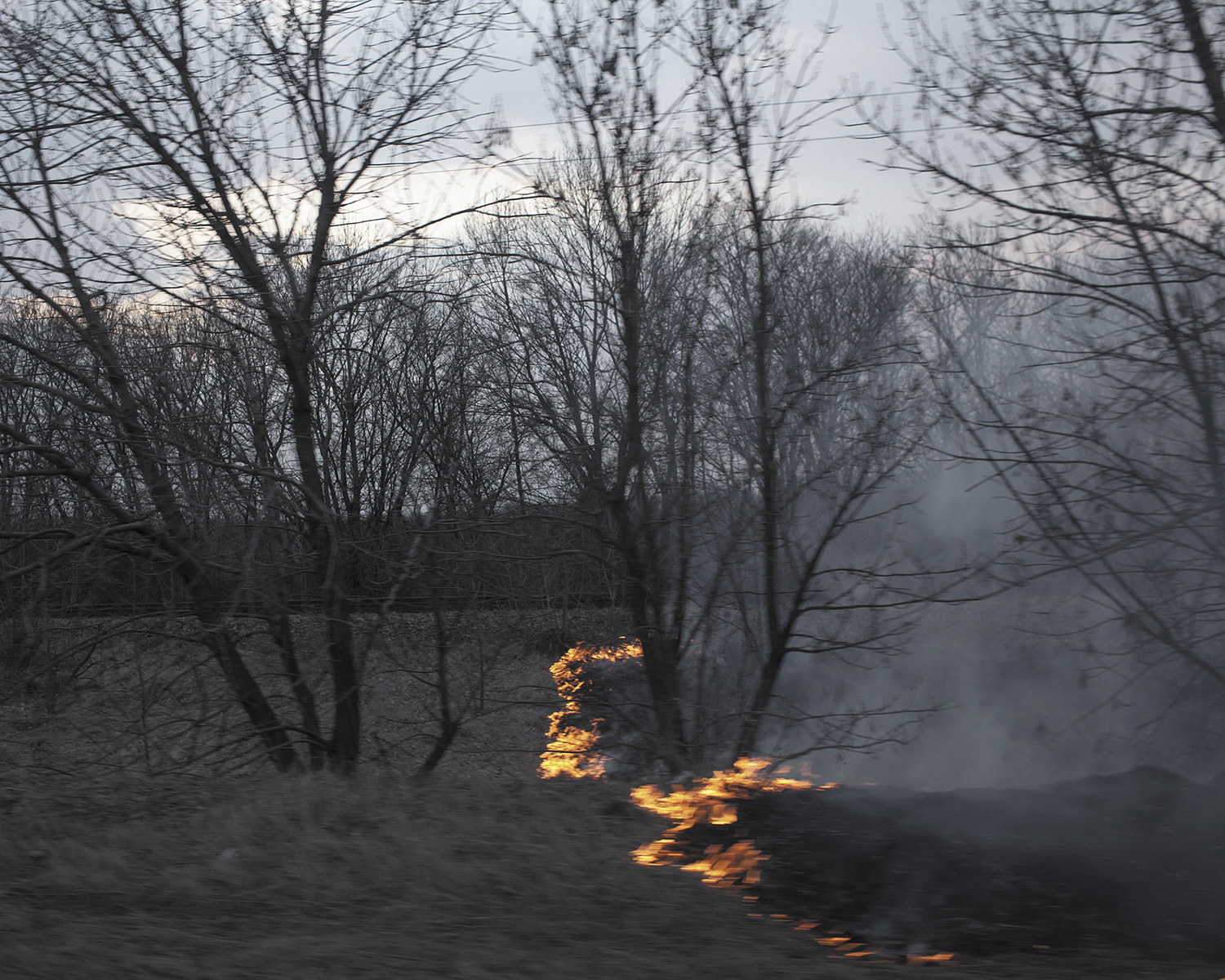 Spark