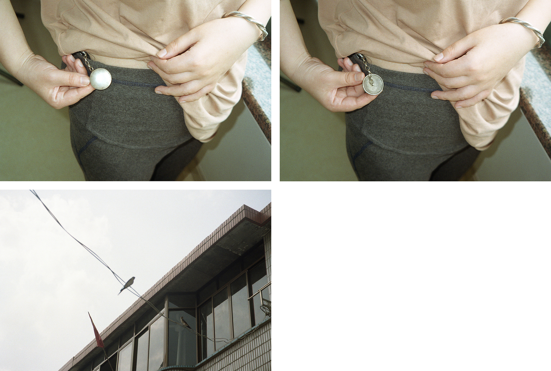 Swallow part 3