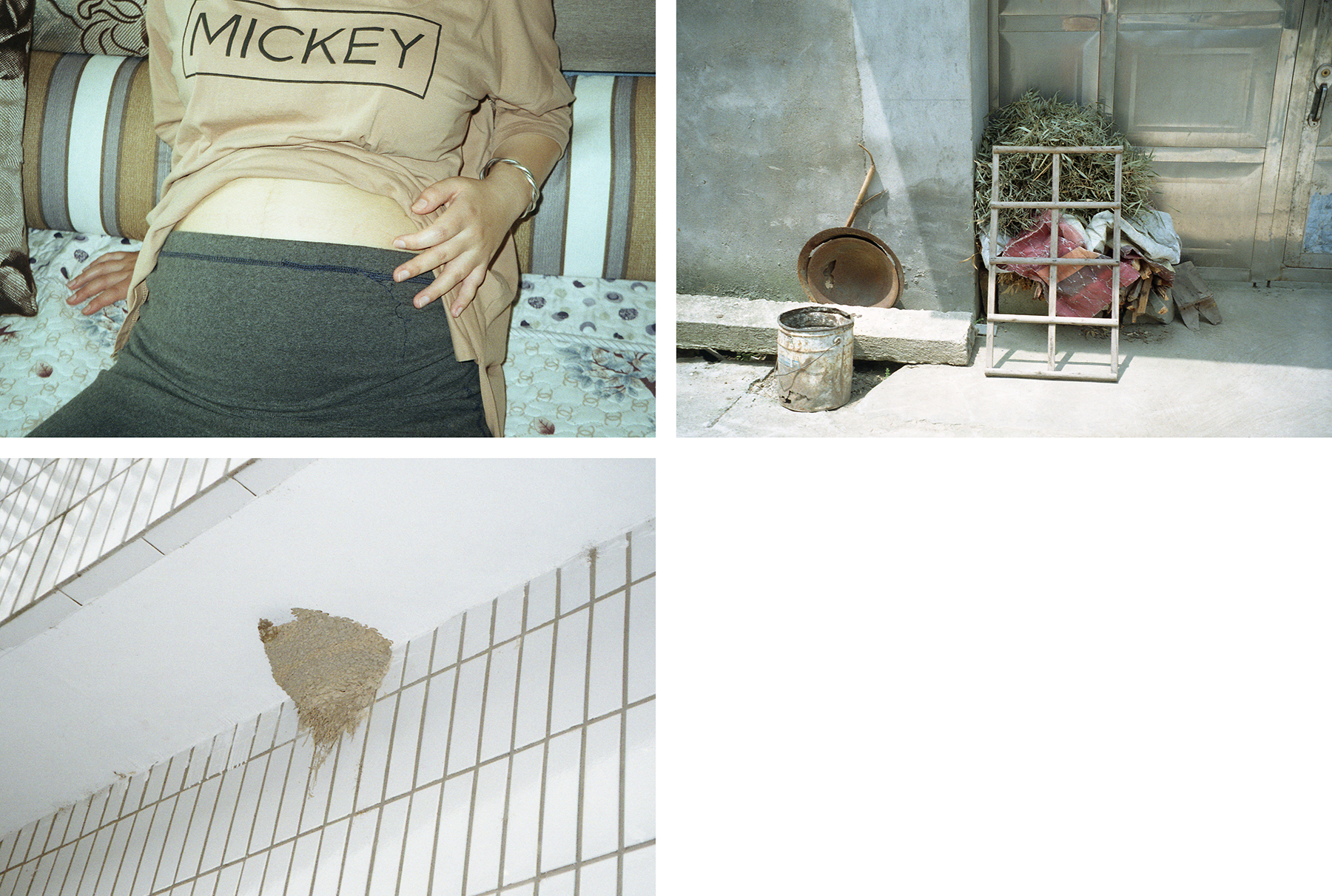 Swallow part 3