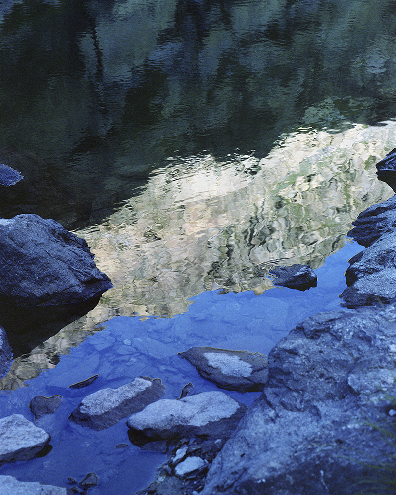 The Path