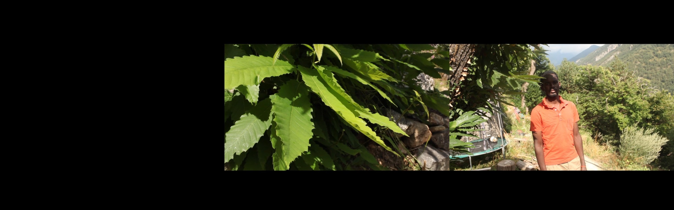 The Path - video