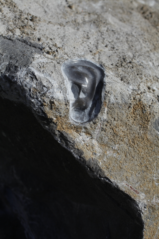 Imprint 2